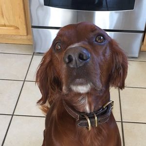 Meet your Posher, Kaitlin